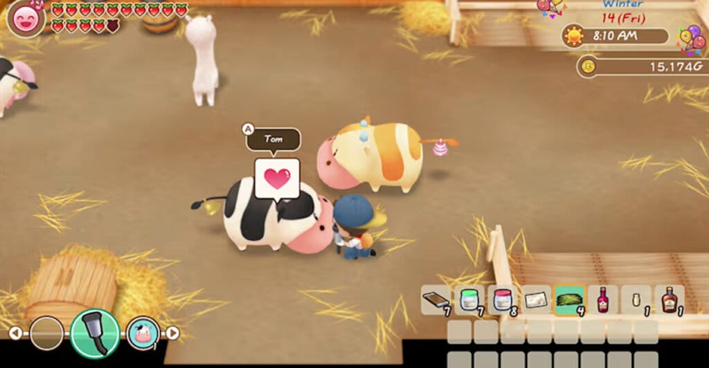 Gameplay de STORY OF SEASONS: FRIENDS OF MINERAL TOWN